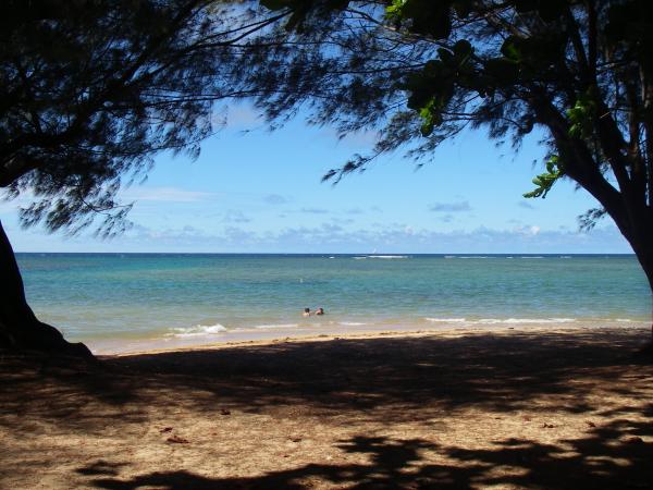 The small point at the center of Anini Beach park, seen from your tent The small point at the center of Anini Beach park, seen from your tent