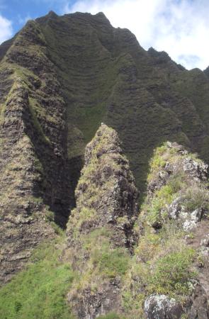 Looking up a ridge at the Kalalau side of Puu Ki Looking up a ridge at the Kalalau side of Puu Ki