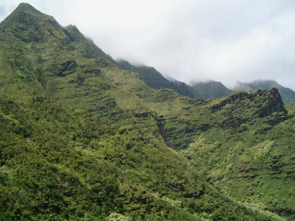 Looking up at the mist-shrouded peaks above what I think is Waiahuakua valley