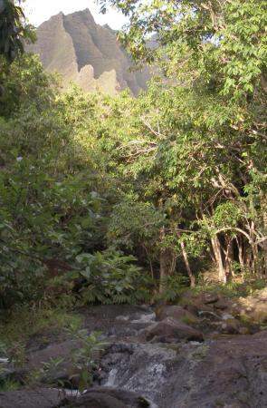 A view of the same ridge seen from the Kalalau stream A view of the same ridge seen from the Kalalau stream