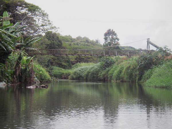 The wooden suspension bridge is about 100 feet long and hangs some 20 feet over the stream