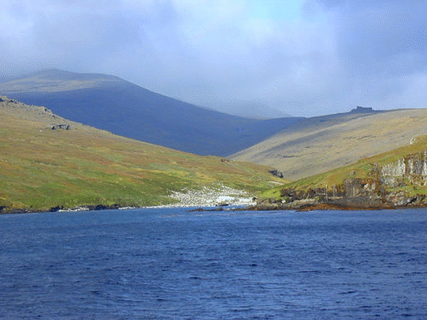 Barren green and brown slopes of Crozet Island with a flock of penguins