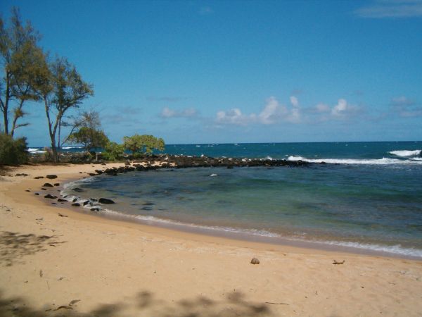 Golden sand, turquoise waters, a blue sky, and some ironwood trees.