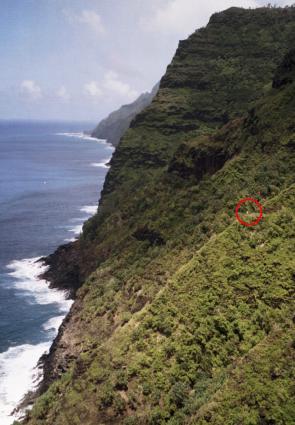 The Na Pali coast from Hanakoa to Kee, note the hiker The Na Pali coast from Hanakoa to Kee, note the hiker