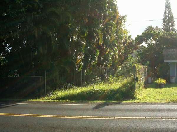 Chain-link gate and fence between two houses and in front of what looks like an overgrown driveway