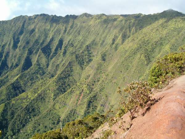 Near cliff face at the back of Kalalau valley, viewed from the Pihea trail.