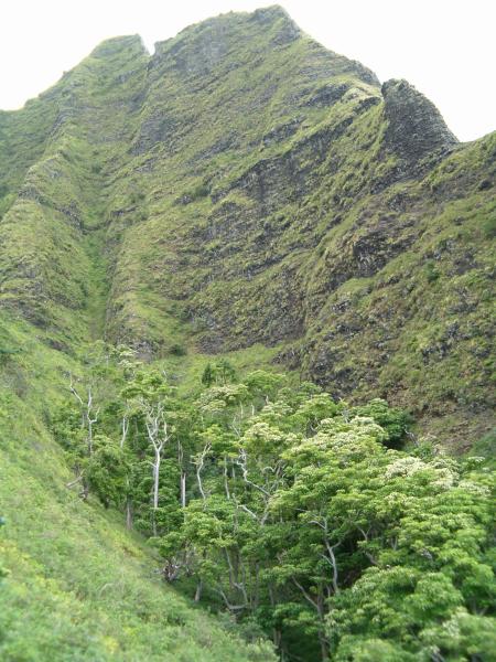 Looking up at the back side of Puu Ki, before reaching the top of Red Hill