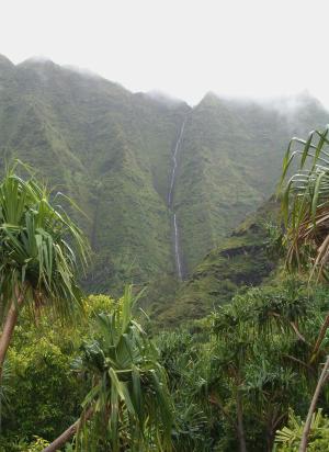 Waterfall coming straight down lush Waiahakua Valley Waterfall coming straight down lush Waiahakua Valley
