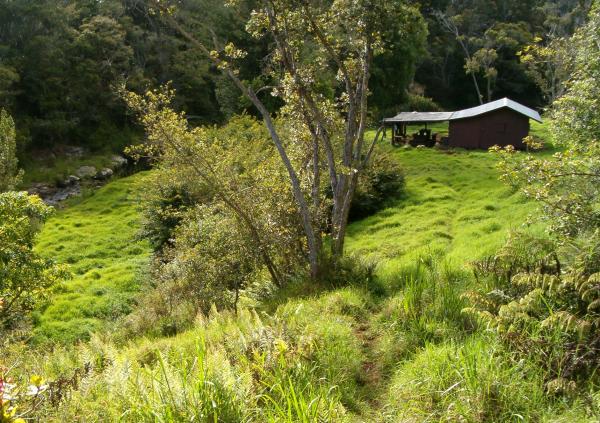 Waialae stream and cabin in the late afternoon after a long day of hiking